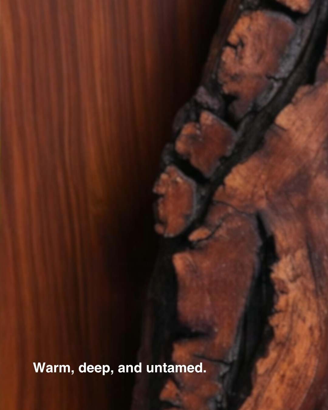 Woody